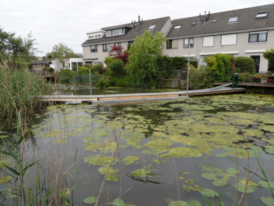 04 Tuinaanleg aan het water