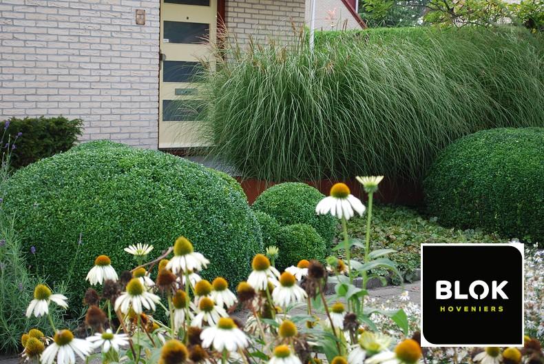 04 Hovenier voor tuinontwerp beplanting Nieuwerkerk aan den IJssel