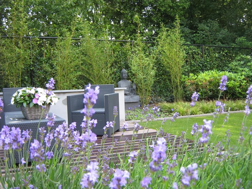 Moderne tuin in Tilburg 2