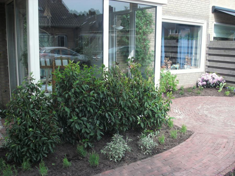 05 Tuinonderhoud Vijfhuizen