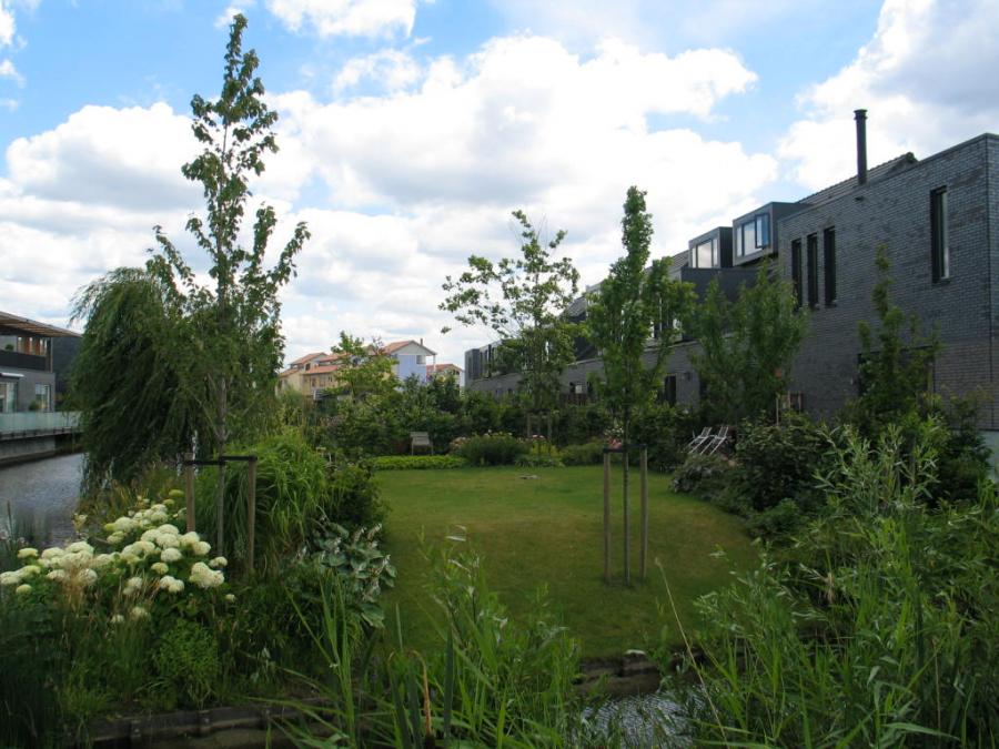 02 Levende tuin, vol groen en vogels Geldermalsen 2