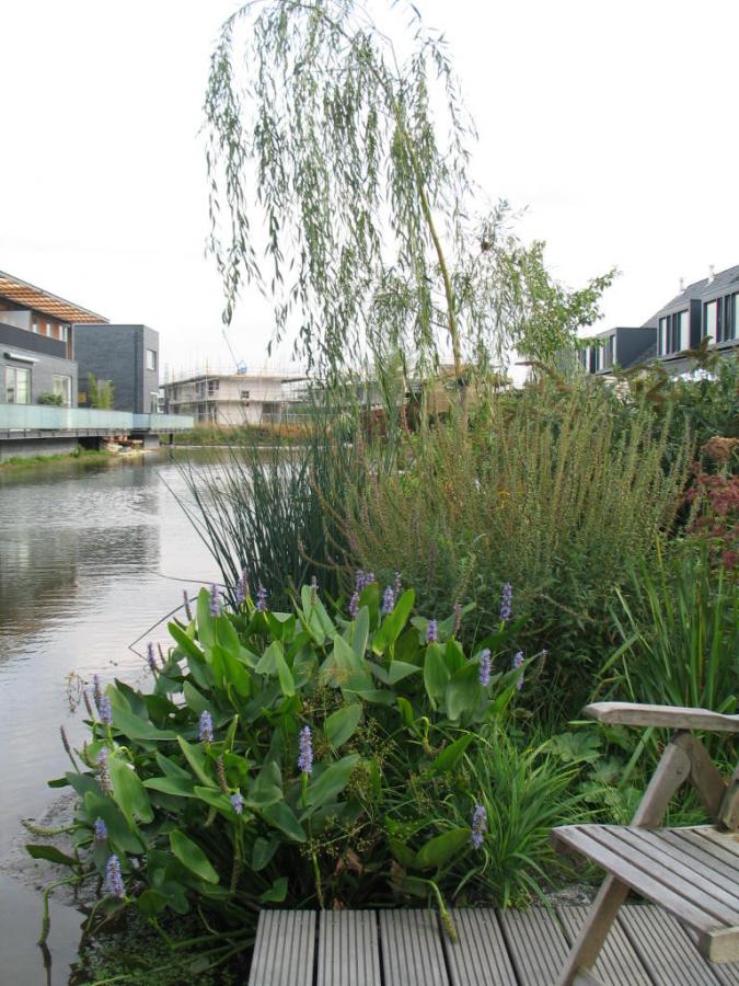05 Levende tuin, vol groen en vogels Geldermalsen 5