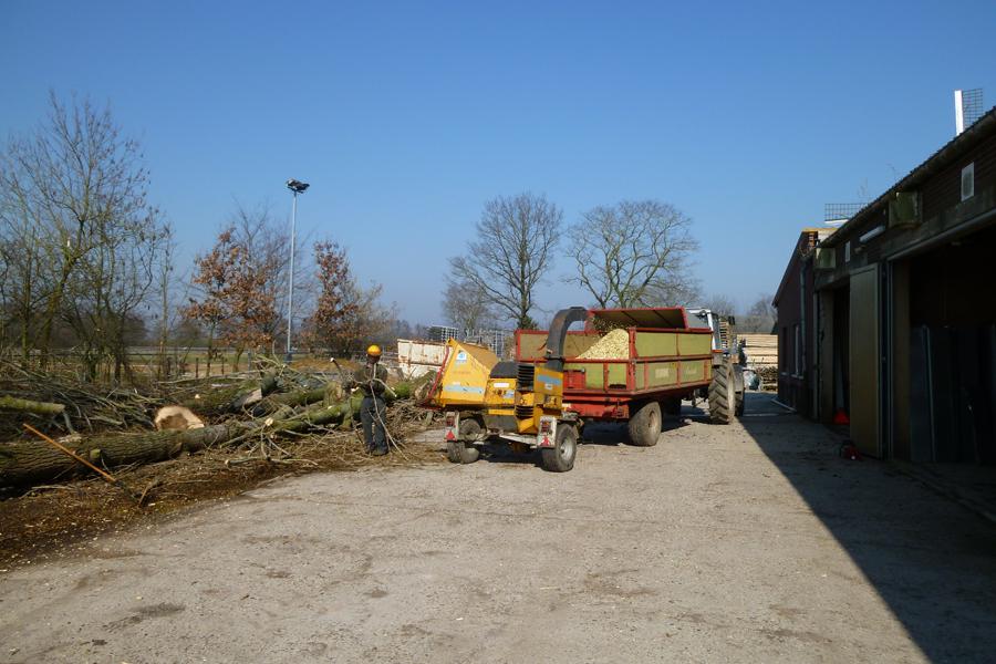 05 Bomen rooien Boxmeer 5