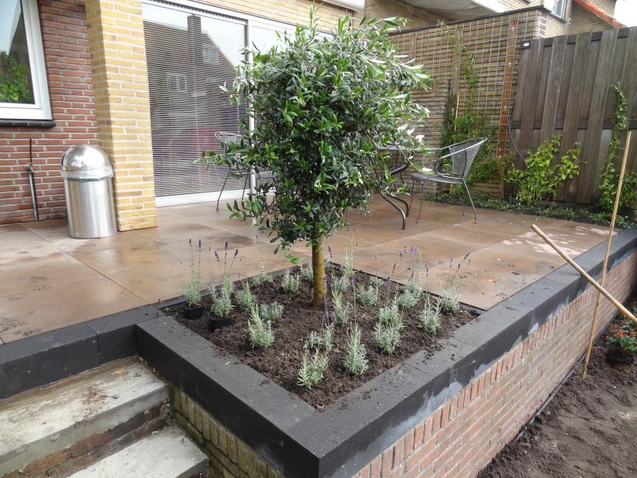 07 Tuinaanleg met verhoogd terras Naarden