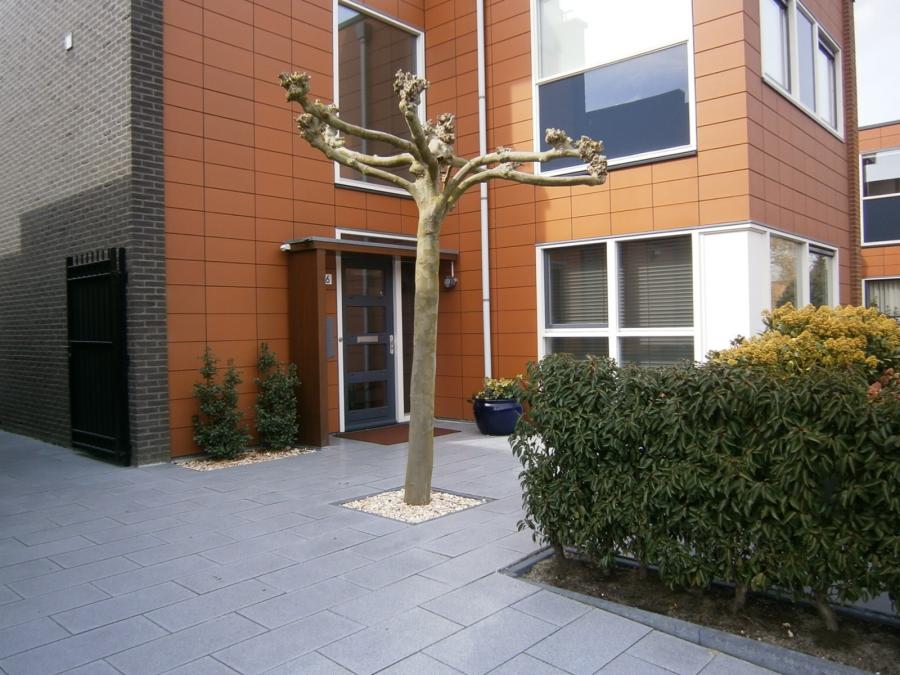 01 Entree huis en tuin Almere
