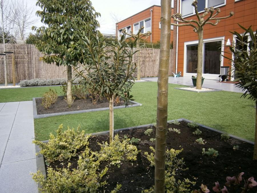05 Tuin met planten in Almere